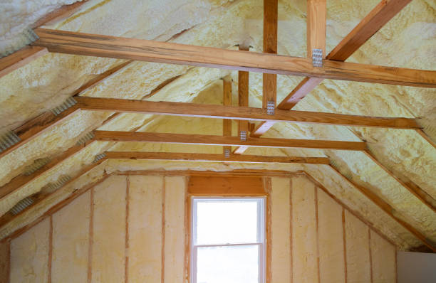 Best DIY Insulation Kits and Guidance in Petersburg, AK