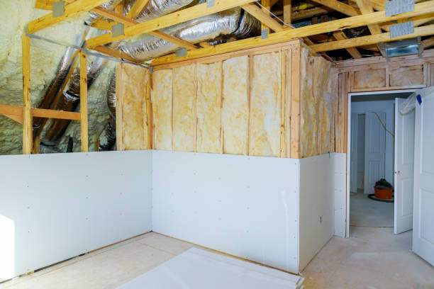 Best Residential Insulation in Petersburg, AK