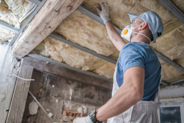 Best Insulation Maintenance and Repair in Petersburg, AK