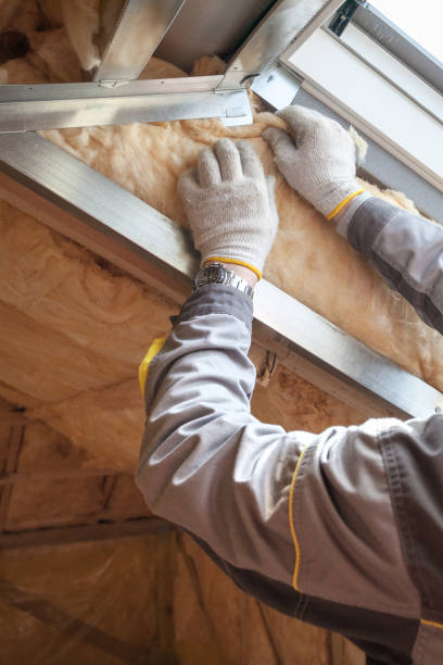 Best Energy Efficiency Insulation in Petersburg, AK