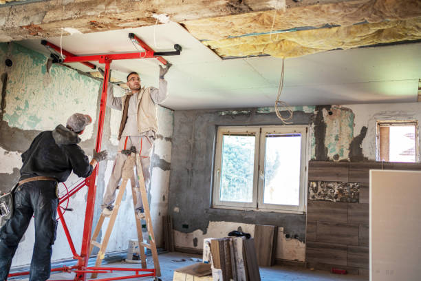 Best Blown-in Insulation in Petersburg, AK
