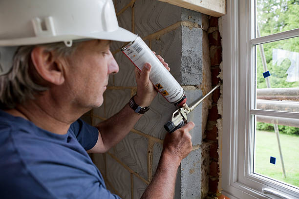 Best Specialized Insulation Services in Petersburg, AK